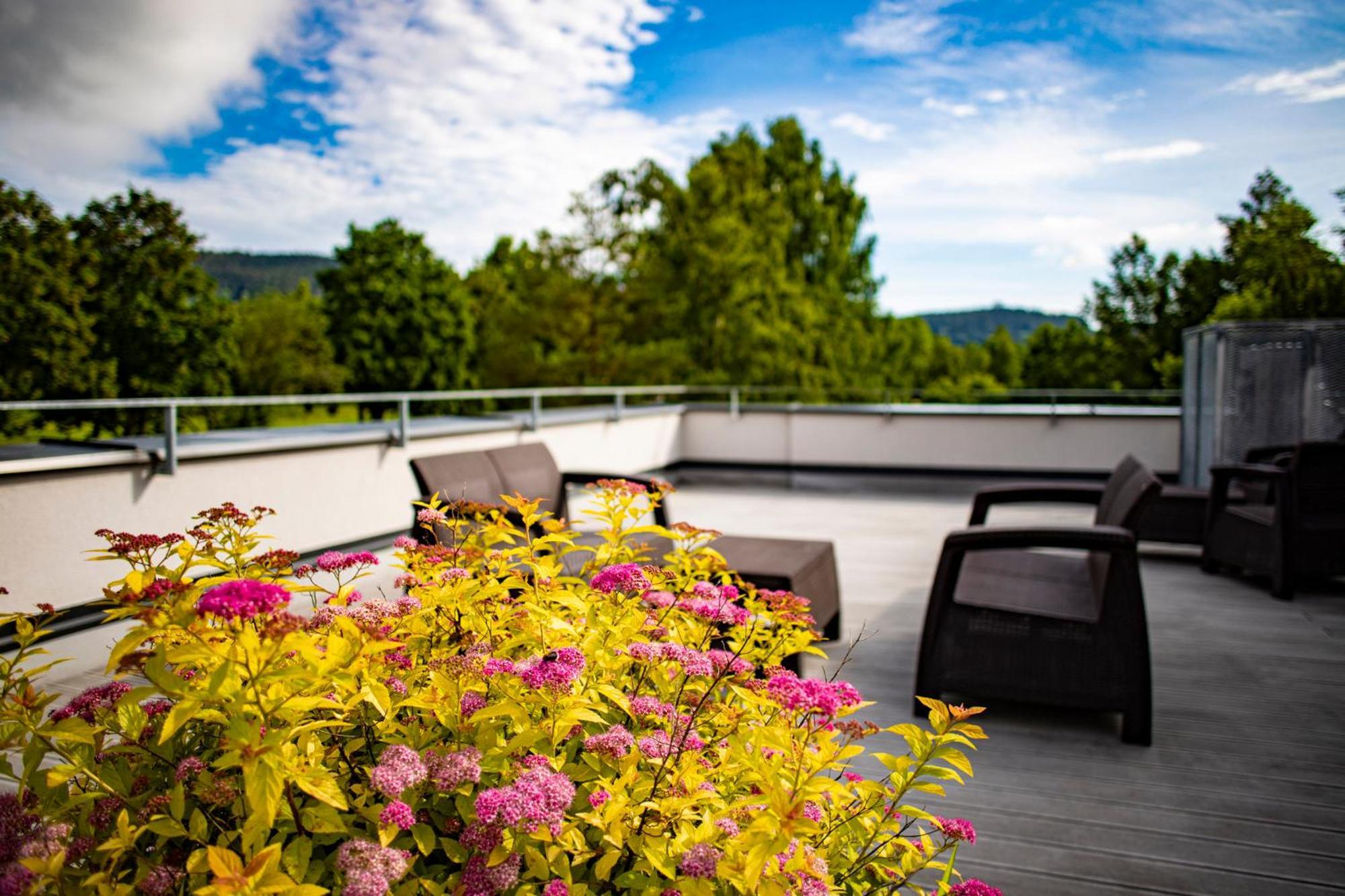 Amenity Hotel & Resort Lipno Lipno nad Vltavou Buitenkant foto
